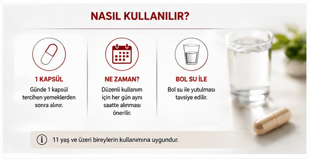 Endofer nasıl kullanılır