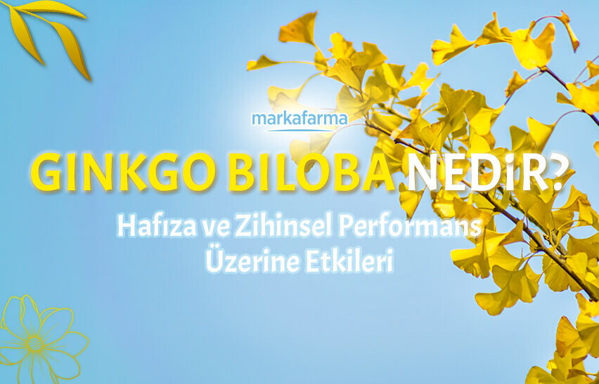 Ginkgo Biloba Nedir? Hafıza ve Zihinsel Performans Üzerine Etkileri