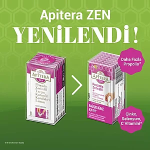Apitera ZEN Doğal Bal, C Vitamini, Çinko, Selenyum, Zencefil, Tarçın, Karanfil, Karabiber, Limon ve Propolis İçeren Takviye Edici 7’li Saşe - 2