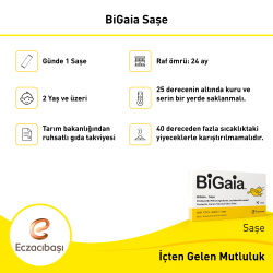 Bigaia 10 Saşe - 4