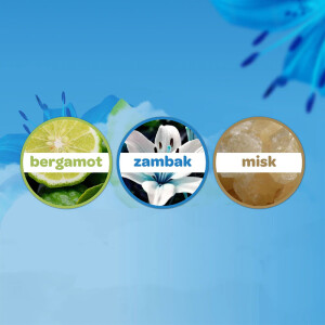 Dalin Bebek Kolonyası Deniz Esintisi 100 ml - 3