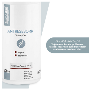 Dermoskin Antreseborr Şampuan 200 ml - 2