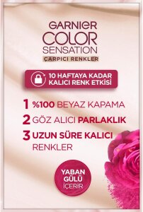 Garnier Çarpıcı Renkler Saç Boyası 111 Ekstra Açık Gümüş Sarısı - 3