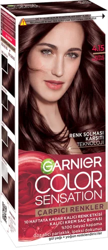 Garnier Çarpıcı Renkler Saç Boyası 4.15 Buzlu Kestane - 1