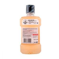 Listerine Cool Citrus Ağız Çalkalama Suyu 250 ml - 2