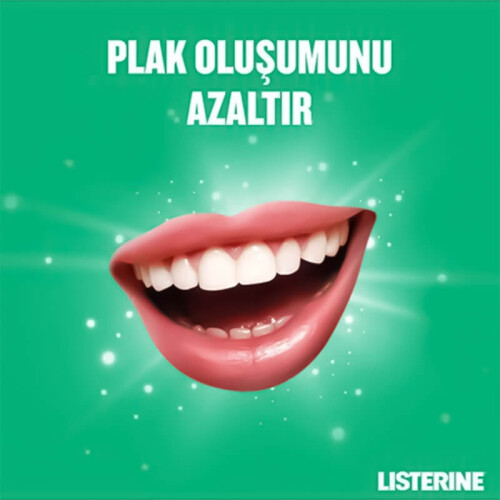 Listerine Teeth & Gum Defence Milder Taste 500 ml - 6