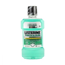 Listerine Teeth Gum Ferah Nane Aromalı Florürlü Ağız Bakım Suyu 250 ml