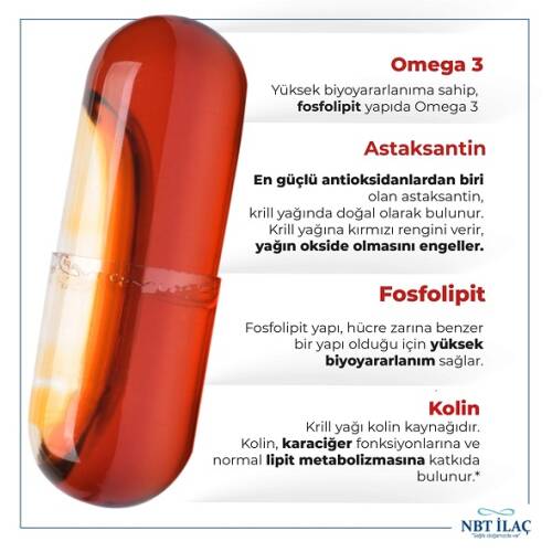 Nbt Life Krill Oil 30 Kapsül - 2