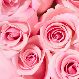 Nuxe Very Rose Gül Özlü Yatıştırıcı Duş Jeli 750 ml - 4