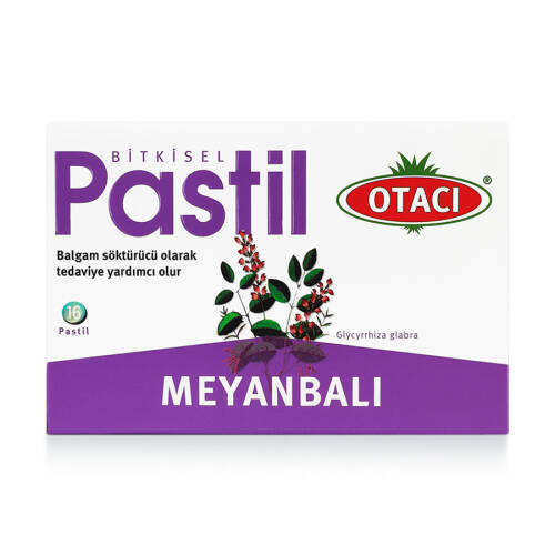 Otacı Meyanbalı Pastil 16 Adet - 1