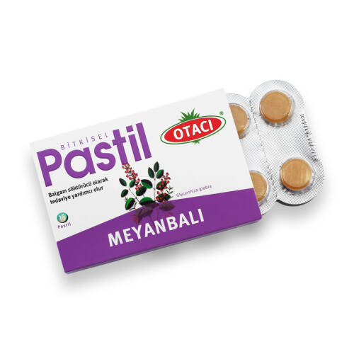 Otacı Meyanbalı Pastil 16 Adet - 2