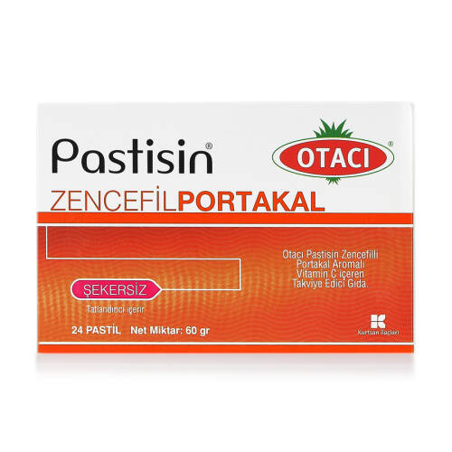 Otacı Pastisin Zencefil Portakal Pastil 24 Adet - 1