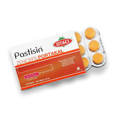 Otacı Pastisin Zencefil Portakal Pastil 24 Adet - 2