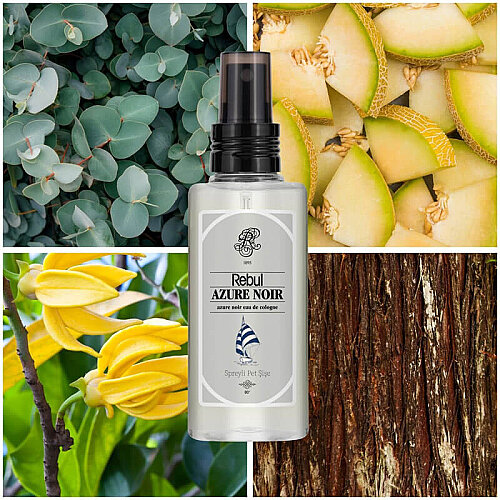 Rebul Azure Noır Edc 125ml - 2
