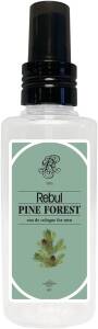 Rebul Pine Forest-Çam Ormanı Kolonya 125 Ml