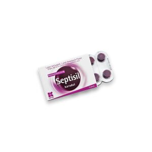 Septısıl Karadut Pastıl 16 Pastil