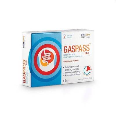 Wellcare Gaspass Plus 20 Tablet - 1