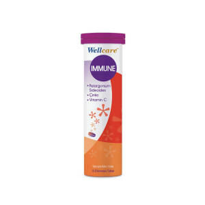 Wellcare Immune 15 Efervesan Tablet