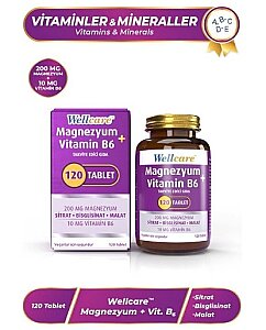Wellcare Magnezyum + Vitamin B6 120 Tablet